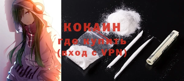 кокс Арсеньев