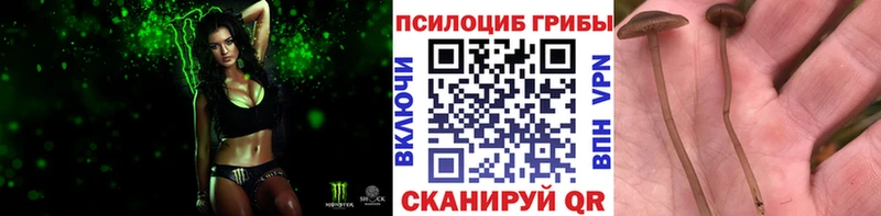Галлюциногенные грибы MAGIC MUSHROOMS  Купить закладки  Ирбит 